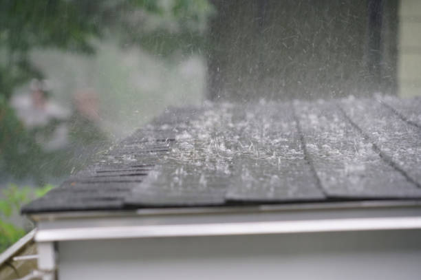 Best Solar Panel Roofing Installation  in Minden, NE